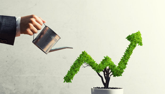 Here-are-some-strategies-to-help-your-sales-grow