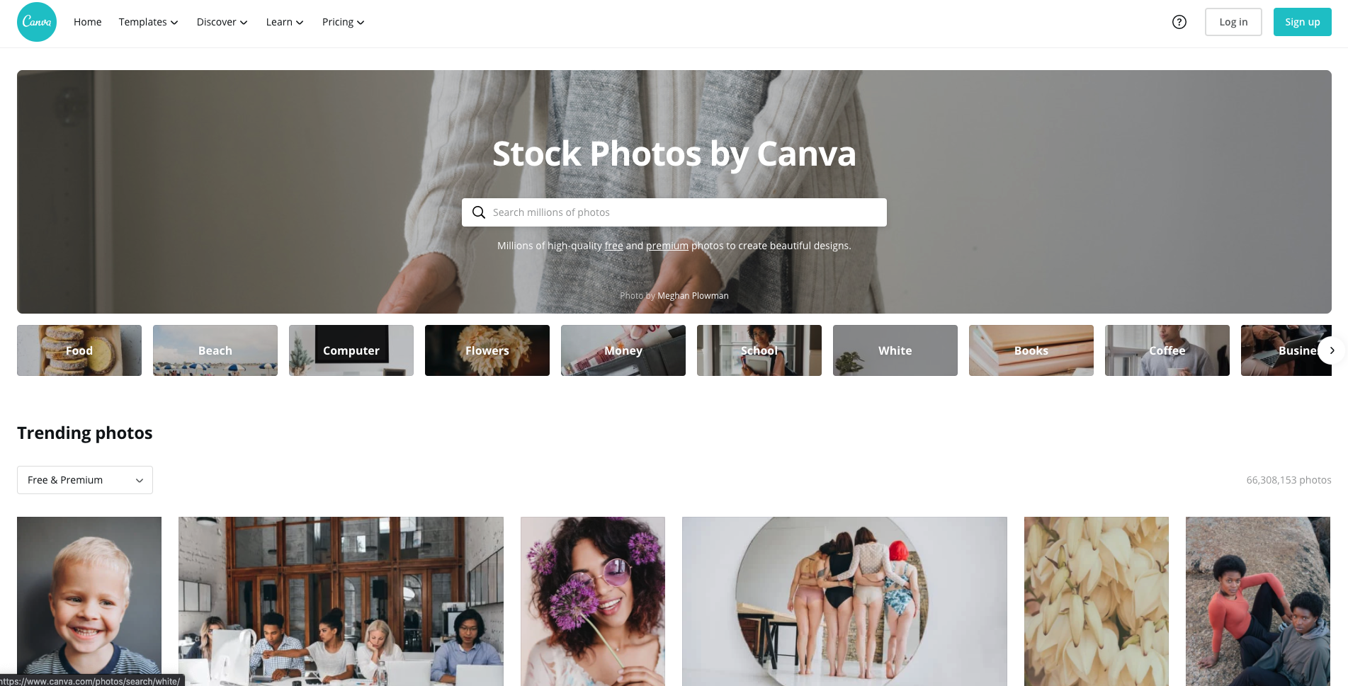 Stock Photos by Canva