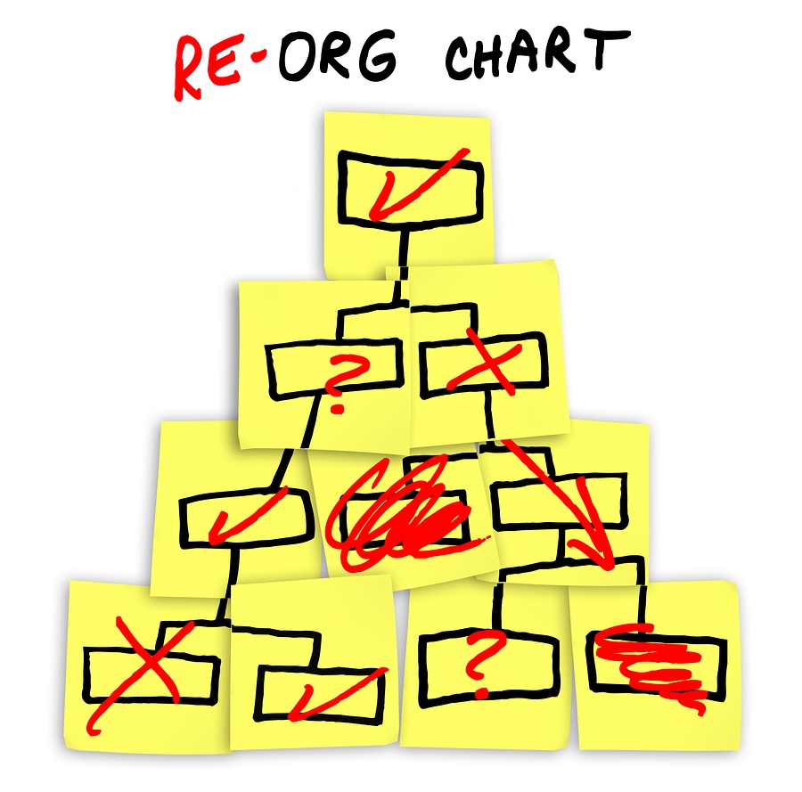 Credit Union Organizational Charts